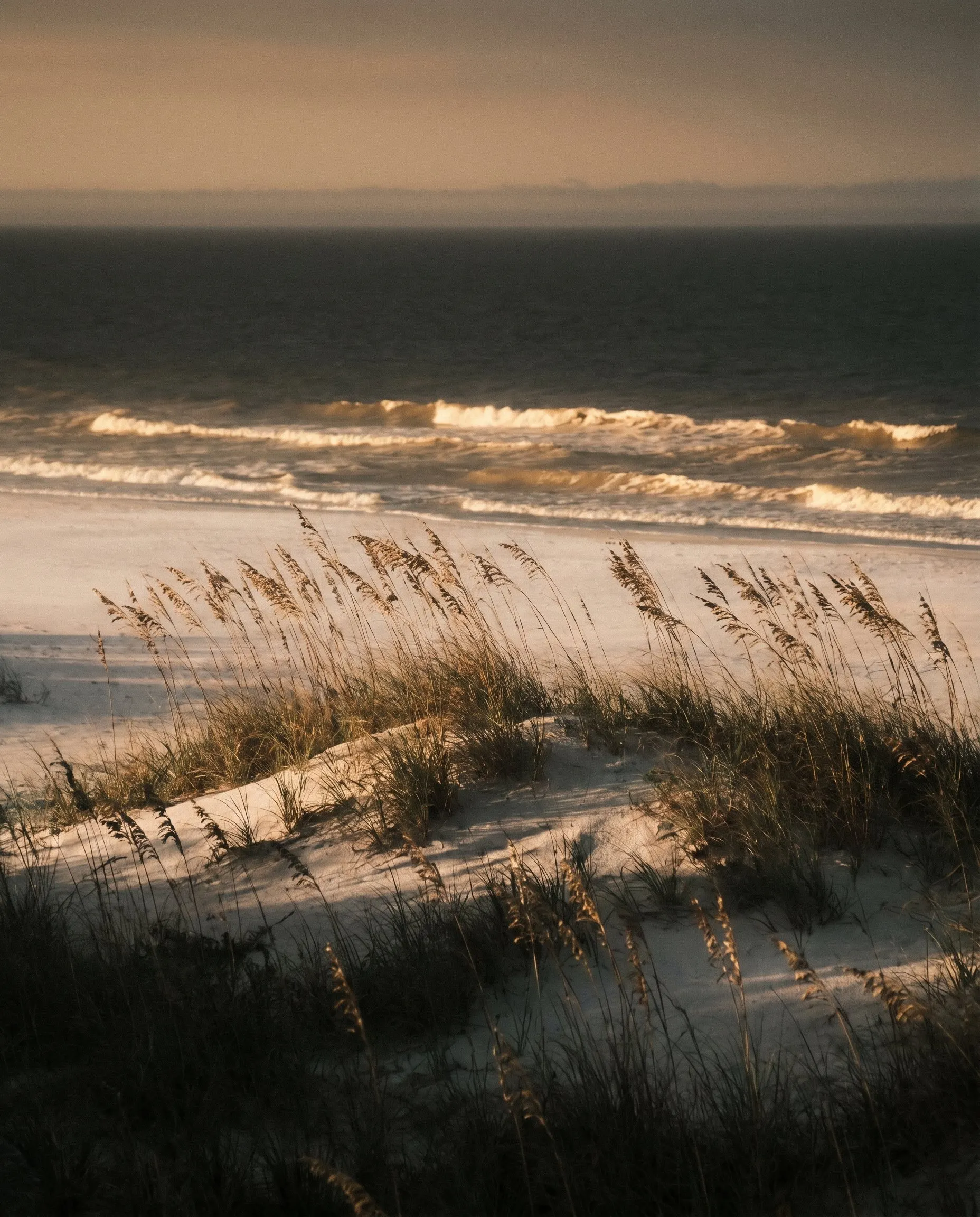 Golden-hour location impression of Tampa Bay